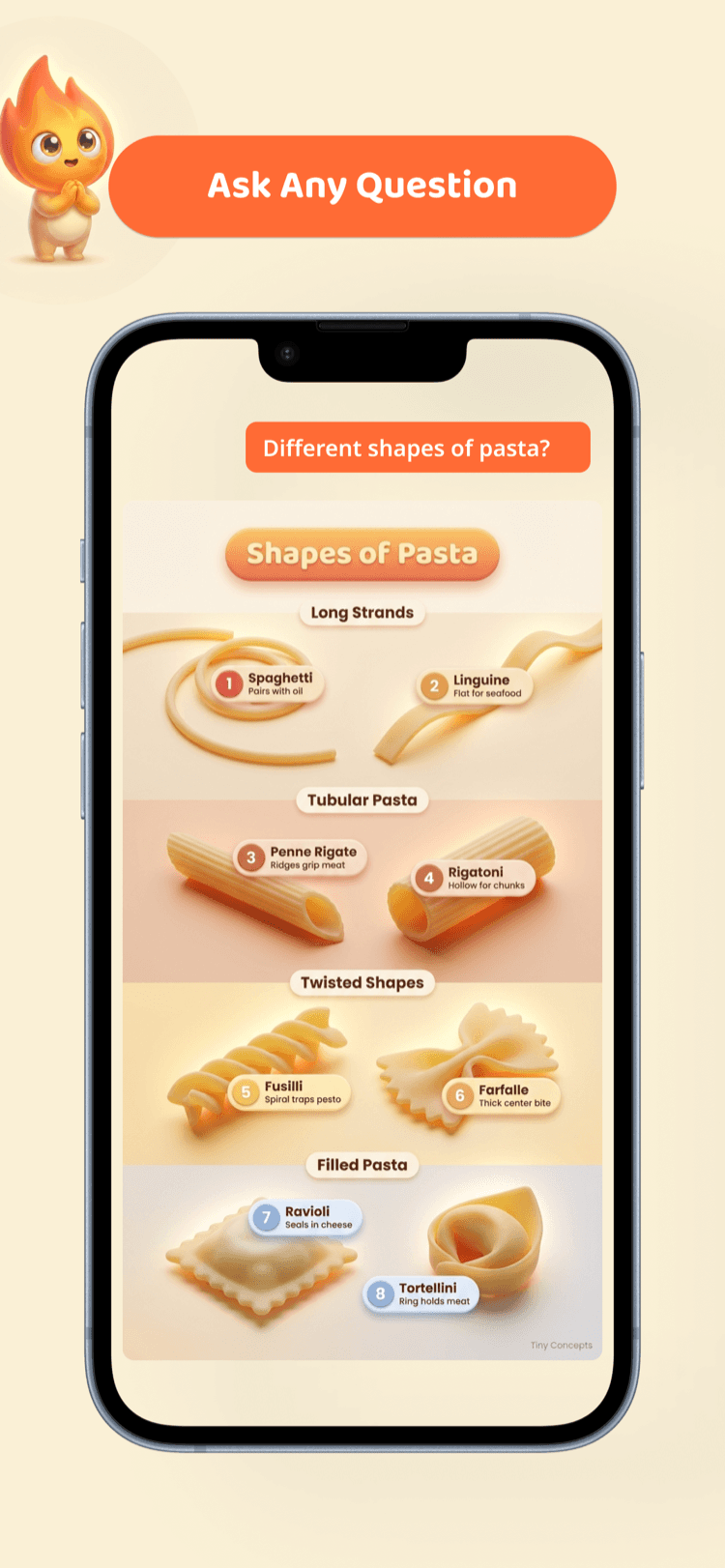 App screenshot showing a visual explanation of different pasta shapes